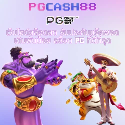 pg ฝาก วอ เลท